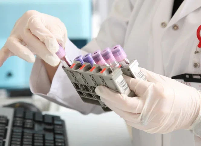 Tilia Medical - Laboratuvar Kurulumunun İncelikleri - Laboratuvar Kurulumuna Genel Bakış