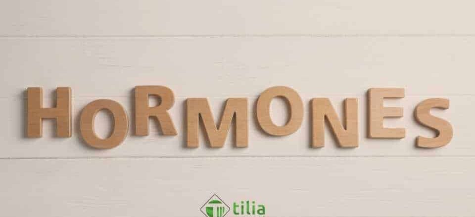 roche hormon test kit front Roche Kit Hormone: hormone measurements the best choice for reliable and precise
