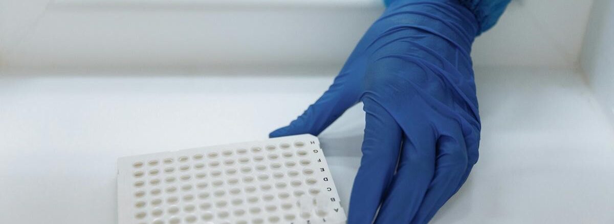 tester kiti nedir Tester Kit What Is It?