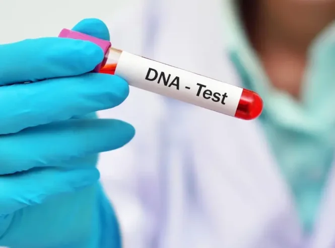 Tilia Medical - DNA Test Kiti – Genetik Analizde Doğru ve Hızlı Sonuçlar