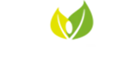 Tilia Medical - EDAN