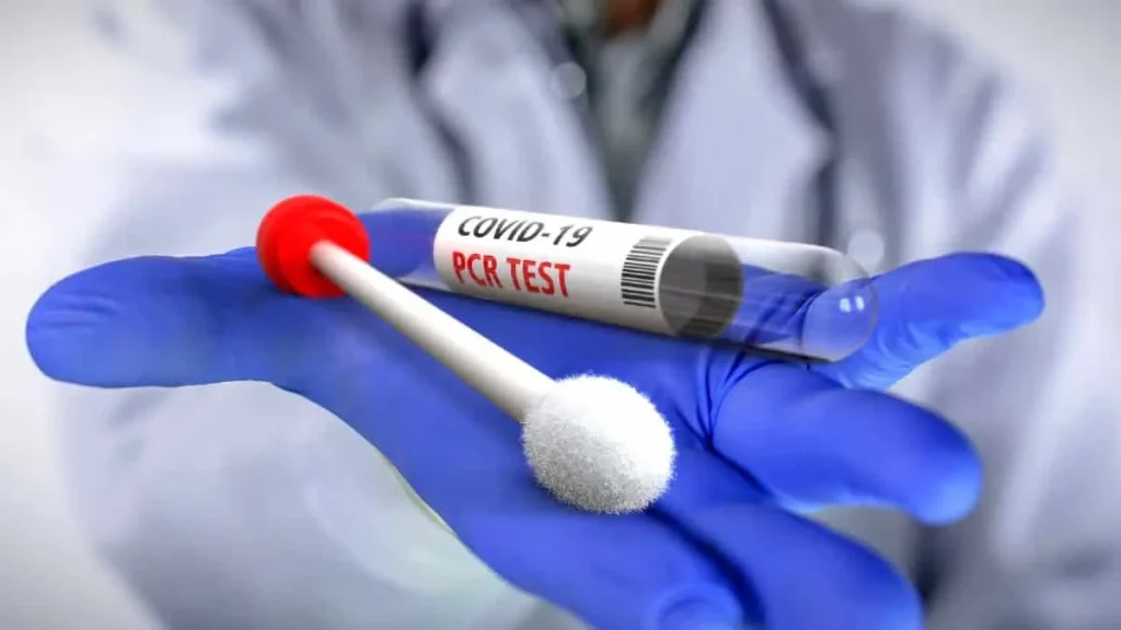 Tilia Medical - Pcr Test Kiti Nedir Pcr Testi Kullanım Alanları